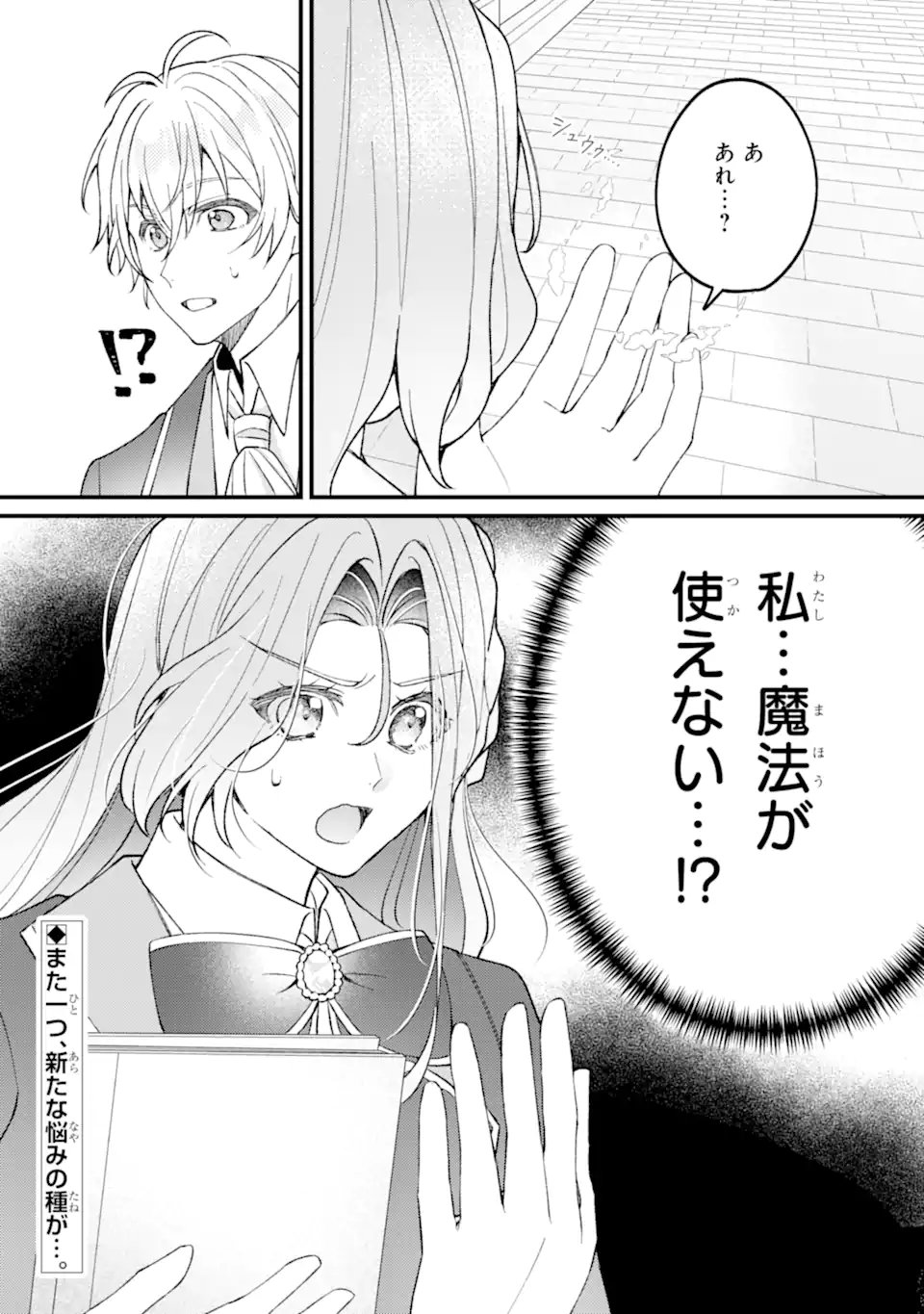 YADOYA NO KANBANMUSUME, KOUSHAKU REIJOU TO IREKAWARU Chapter 5.3 - Page 11