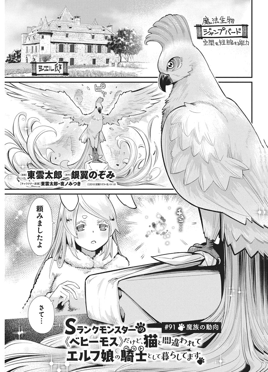 I AM BEHEMOTH OF THE S RANK MONSTER BUT I AM MISTAKEN AS A CAT AND I LIVE AS A PET OF ELF GIRL - RAW Chapter 91 page 1 - nihonkuni.com