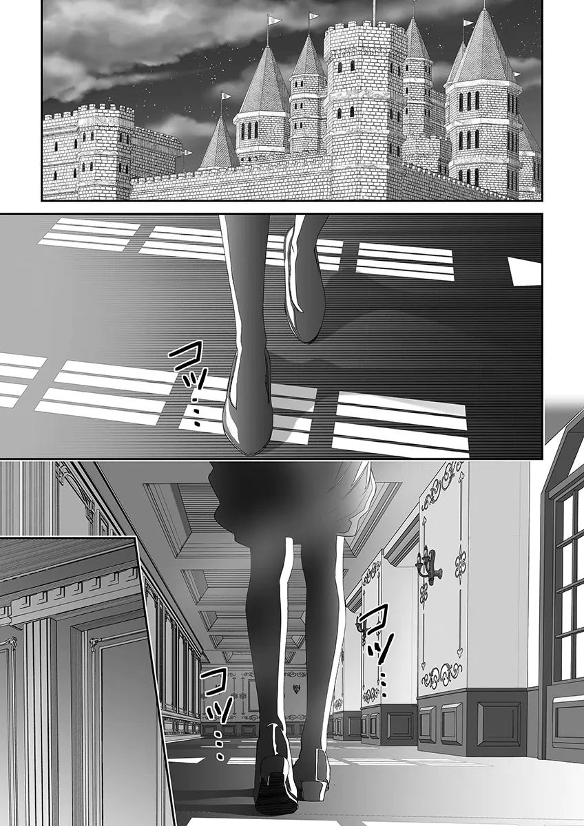 ZANGYAKU OU WA DOREI HIME NI GO SHUUSHIN: KATSU TE HIROWARETA OTOKO WA, UNMEI NO ONNA NI SUBETE WO SASAGU Chapter 9 - Page 11