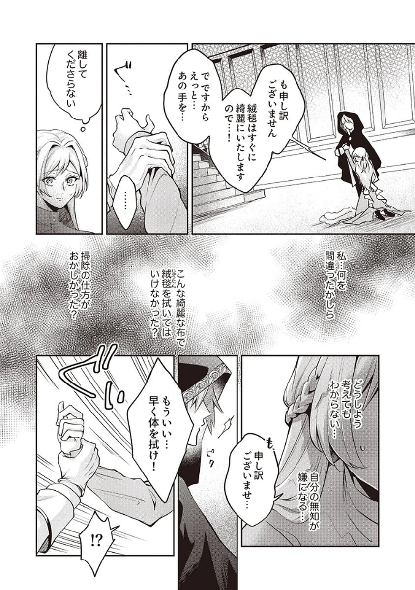 MIGAWARI REIJOU WO SUKUTTA NO WA REIKOKU MUJIHI NA KOORI NO OUJI NO AI DESHITA Chap 2 - Pic 8