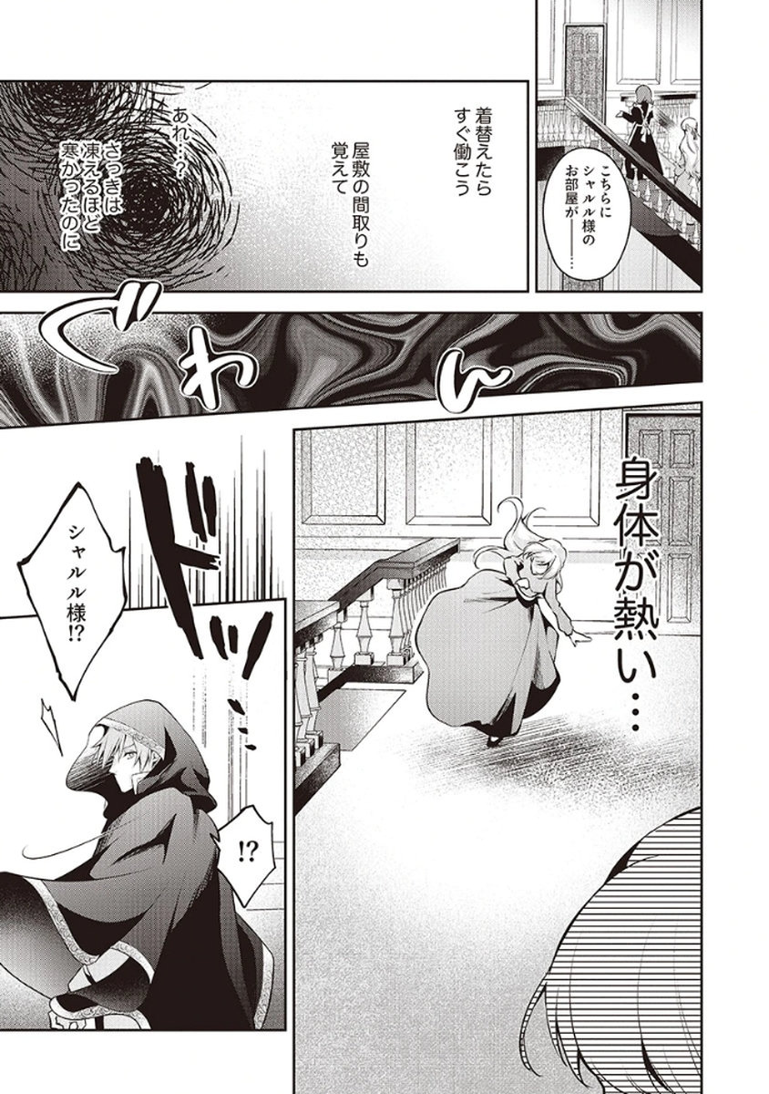 MIGAWARI REIJOU WO SUKUTTA NO WA REIKOKU MUJIHI NA KOORI NO OUJI NO AI DESHITA Chap 2 - Pic 11