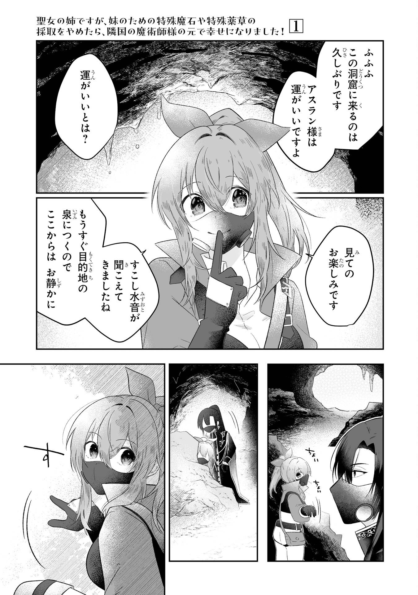 SEIJO NO ANE DESU GA, IMOUTO NO TAME NO TOKUSHU MASEKI YA TOKUSHU YAKUSOU NO SAISHU WO YAMETARA, RINGOKU NO MAJUTSUSHI-SAMA NO MOTO DE SHIAWASE NI NARIMASHITA! Chapter 2 - Page 17