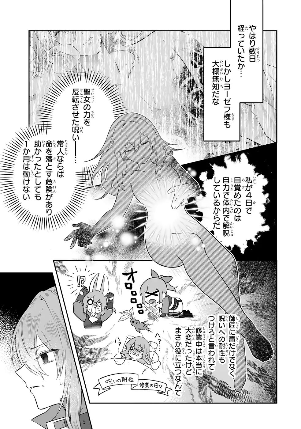 SEIJO NO ANE DESU GA, IMOUTO NO TAME NO TOKUSHU MASEKI YA TOKUSHU YAKUSOU NO SAISHU WO YAMETARA, RINGOKU NO MAJUTSUSHI-SAMA NO MOTO DE SHIAWASE NI NARIMASHITA! Chapter 10 - Page 17