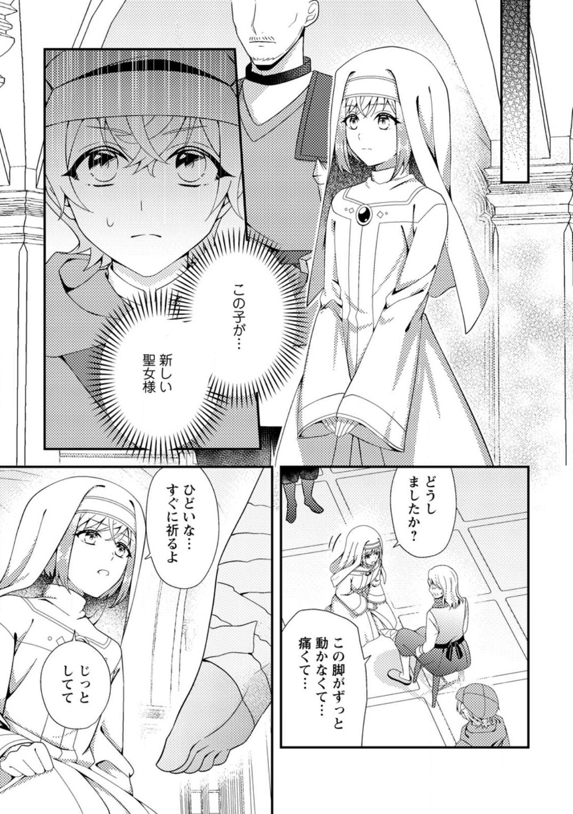 NISEMONO NI UBAWARETA SEIJO NO CHII, NANTONAKUSHITEMO TORIKAESA... NAKUTE IIKKA! Chap 19.2 - Pic 2