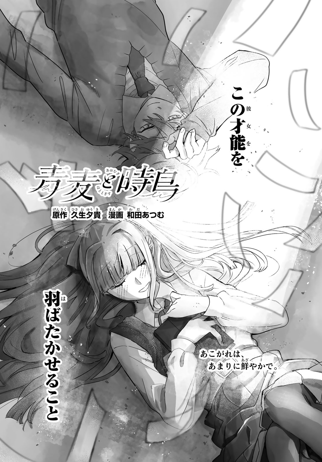 AOMUGI TO HOTOTOGISU Chap 4 - Pic 2
