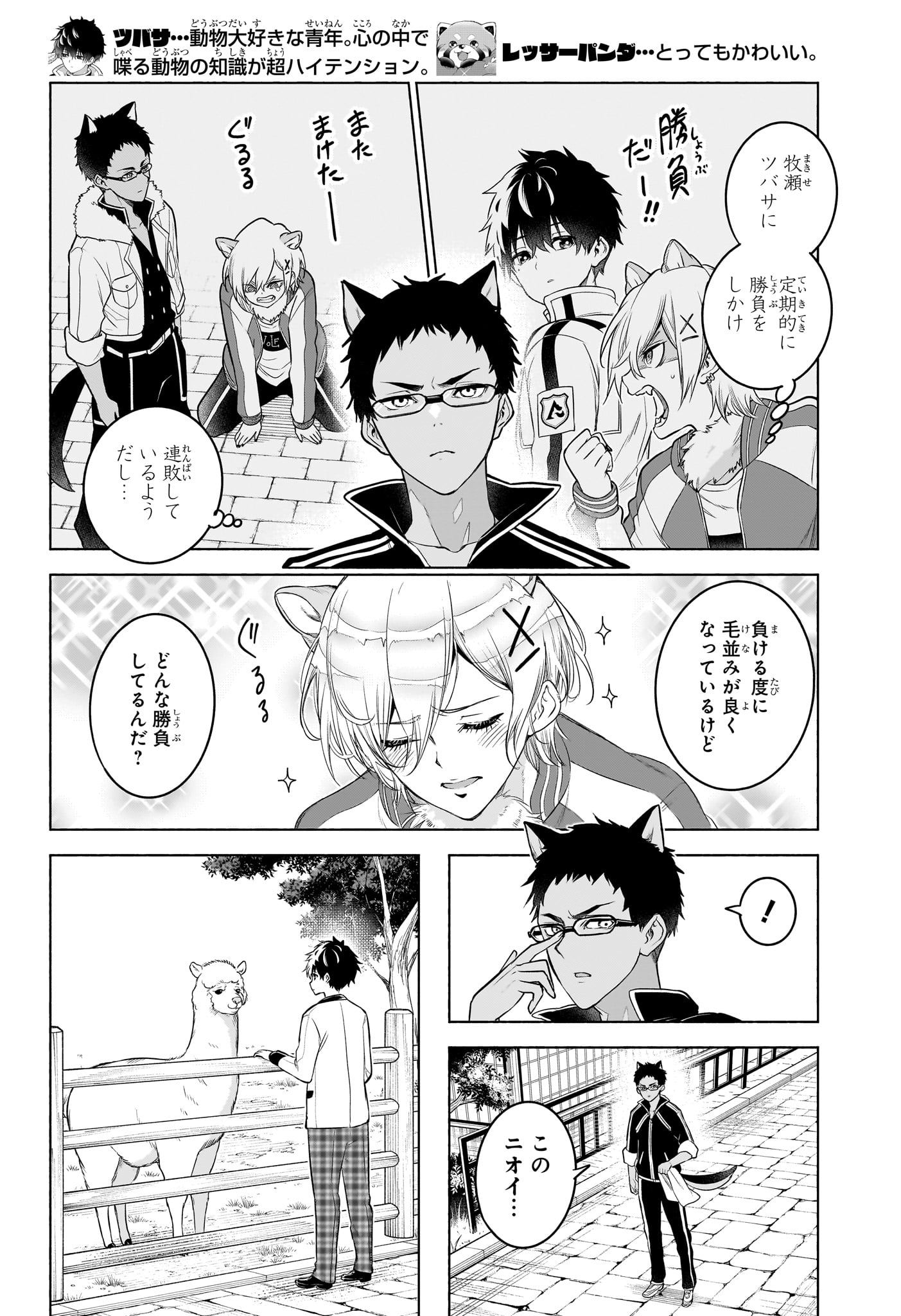 ANIMAL SIGNAL Chap 13 - Pic 2
