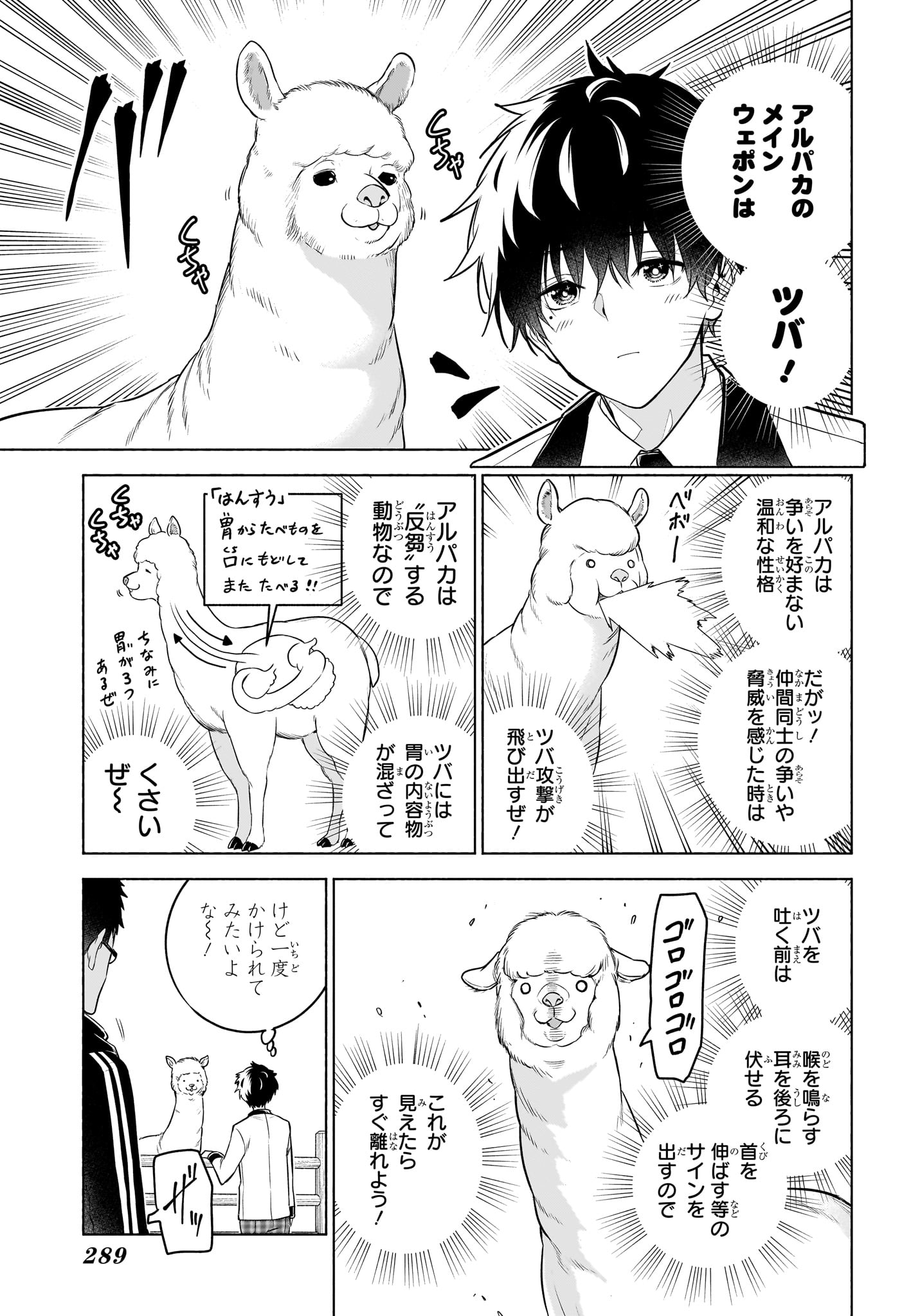 ANIMAL SIGNAL Chap 13 - Pic 3