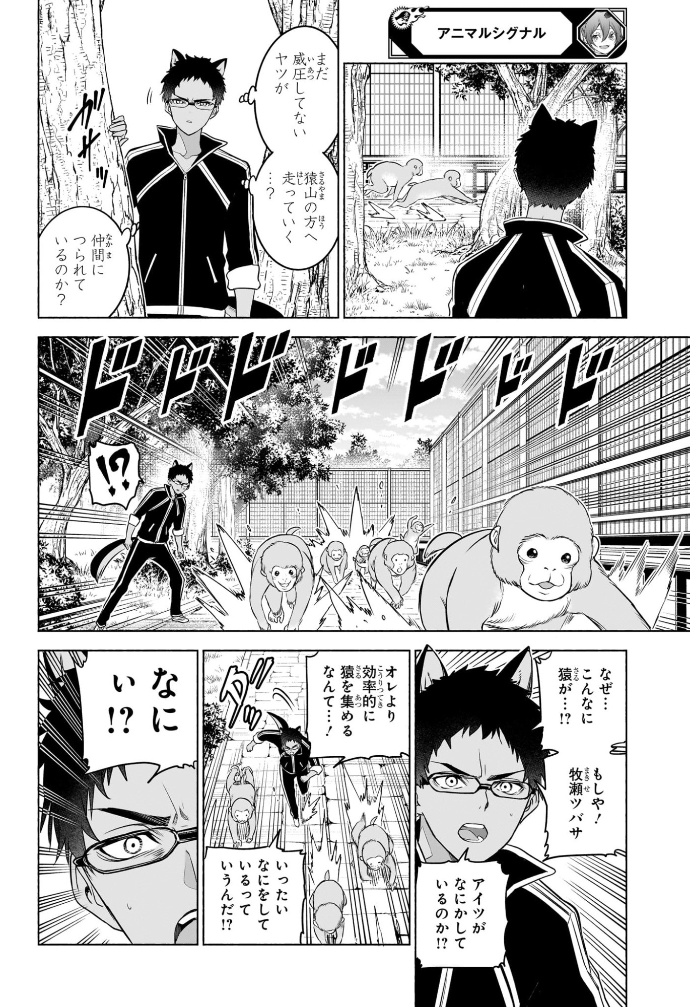 ANIMAL SIGNAL Chap 13 - Pic 14