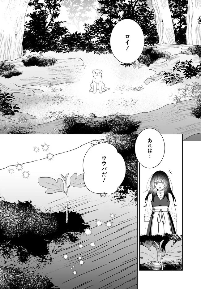 KUSURI URI NO SEIJO - ENZAI DE TSUIHOUSARETA YAKUSHI WA, HENKYOU NO JI DE SHIAWASE WO TSUKAMU Chap 15.2 - Pic 20