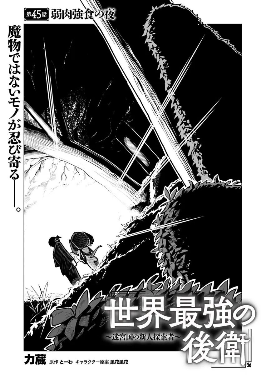 SEKAI SAIKYOU NO KOUEI: MEIKYUUKOKU NO SHINJIN TANSAKUSHA - RAW Chap 45.1 - Pic 1