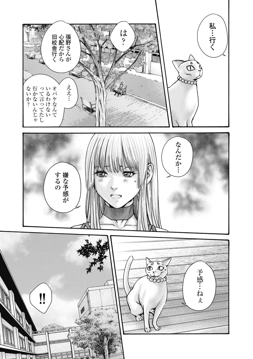TERA UMARE NEKO NO TAMA-SAN Chap 24 - Pic 3