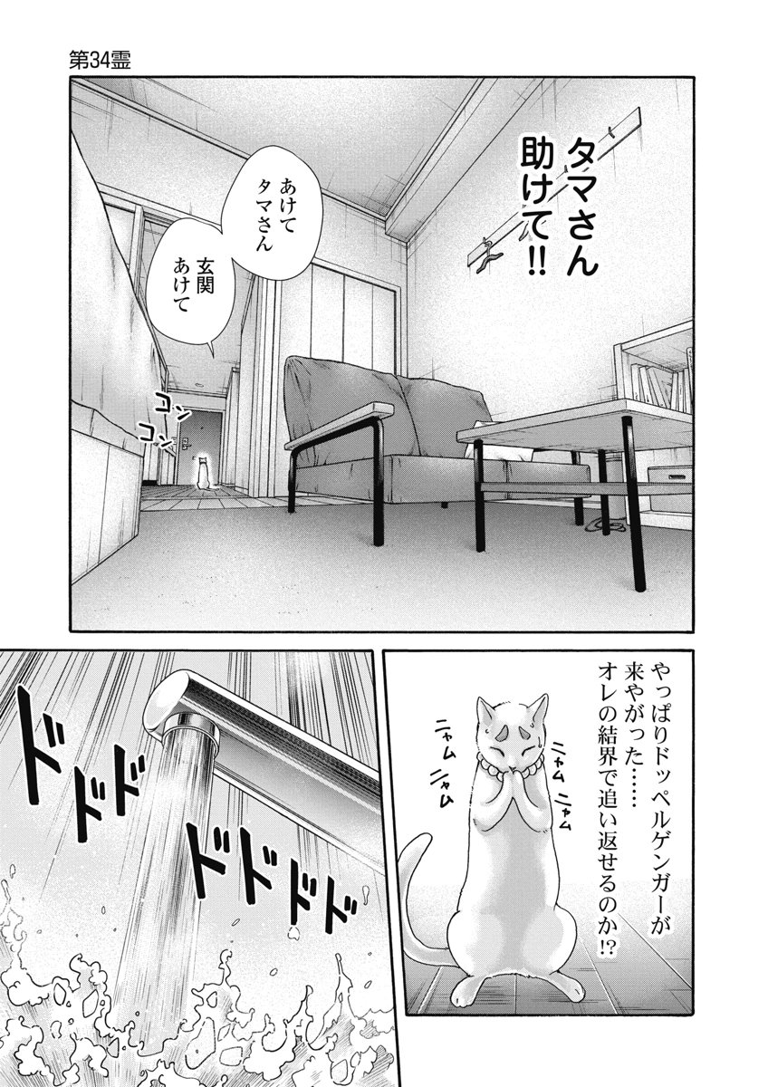 TERA UMARE NEKO NO TAMA-SAN Chap 34 - Pic 7