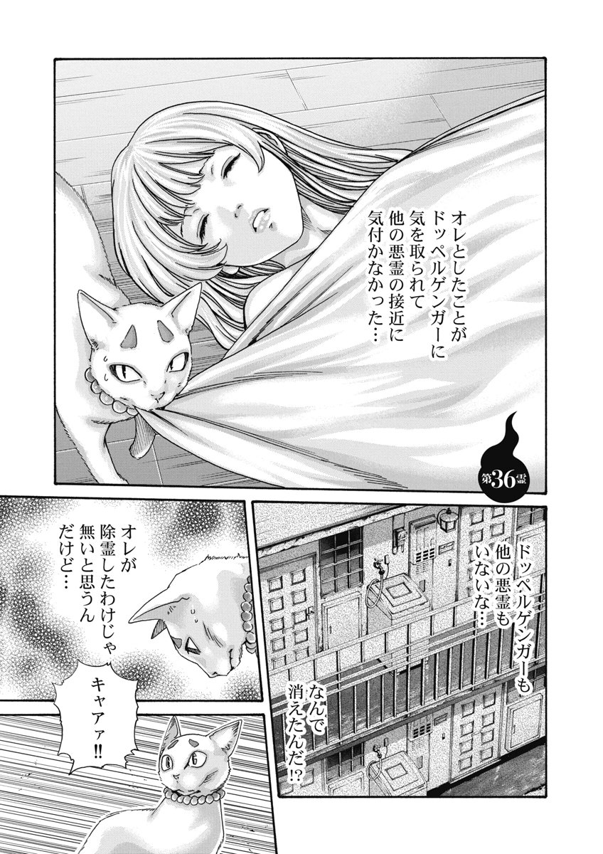 TERA UMARE NEKO NO TAMA-SAN Chap 36 - Pic 1