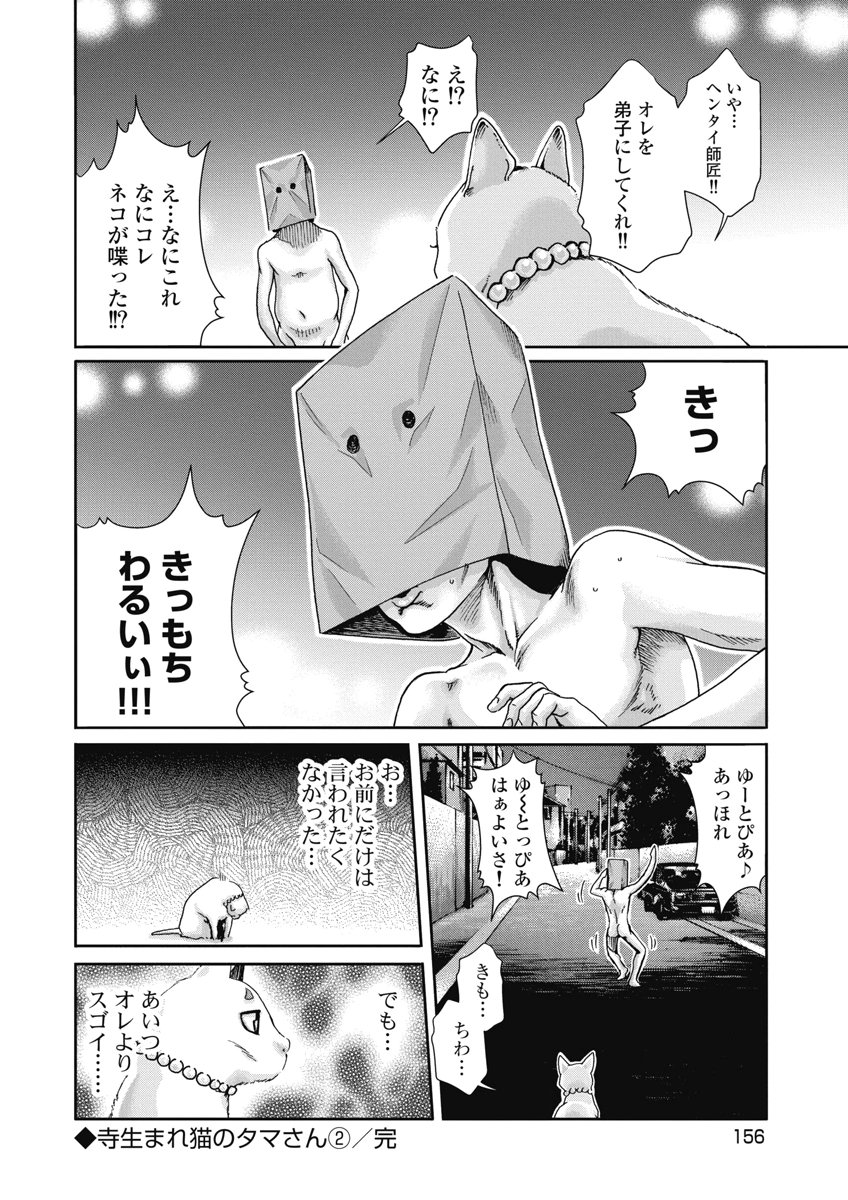 TERA UMARE NEKO NO TAMA-SAN Chap 36 - Pic 8