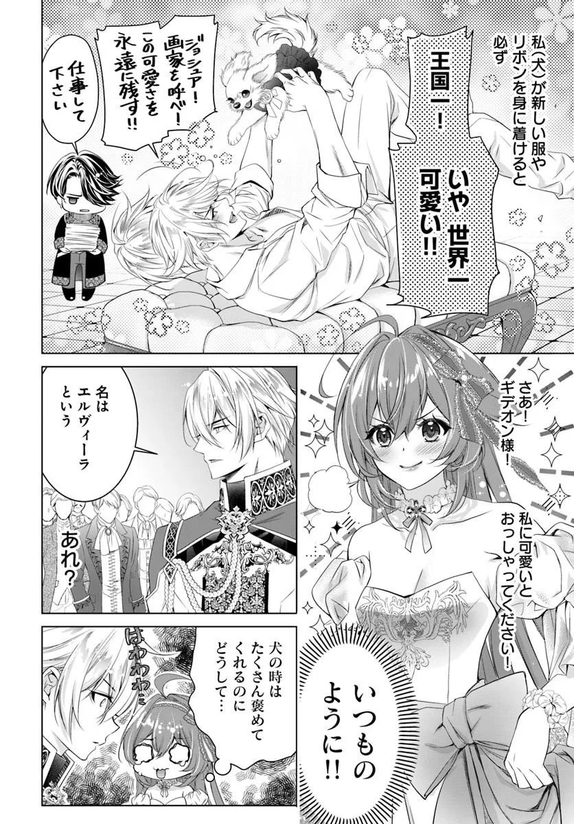KOKUOU HEIKA, WATASHI WO KATTE KUDASAI!: IMOUTO NO MIGAWARI DE MITSUGIMONO NI SAREMASHITA GA, AISARE INU WO MEZASHIMASU Chap 13.1 - Pic 2