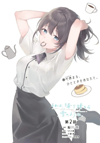SORE WA, FURITSUMORU YUKI NO YOUNA
