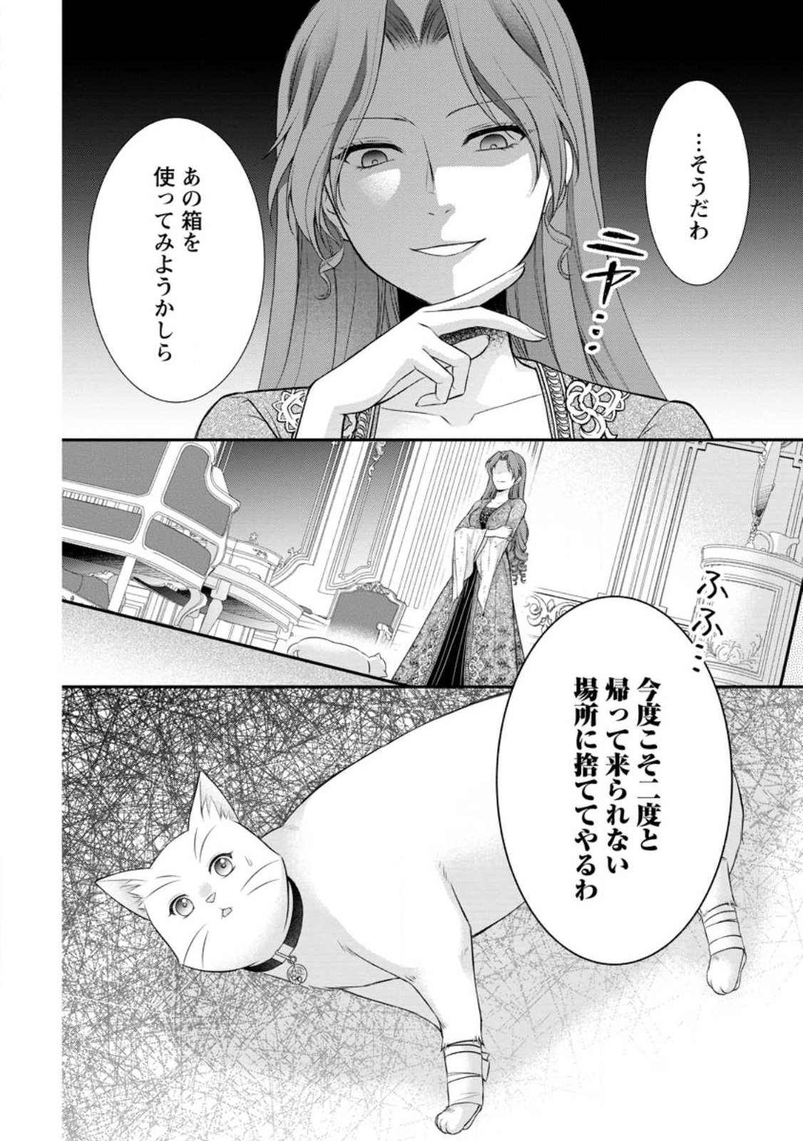 NOROI DE NEKO NI SARETA AKUNE, O TAISHI NI HIROWARERU Chap 23.3 - Pic 9