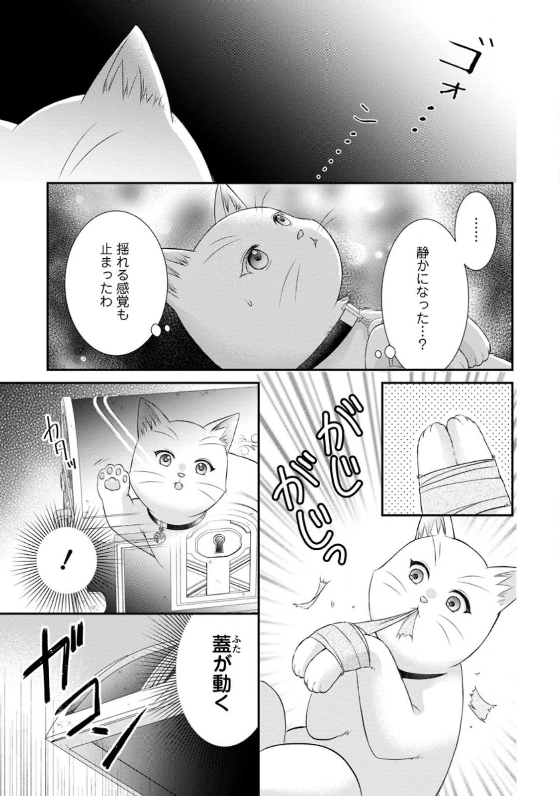 NOROI DE NEKO NI SARETA AKUNE, O TAISHI NI HIROWARERU Chap 24.1 - Pic 5