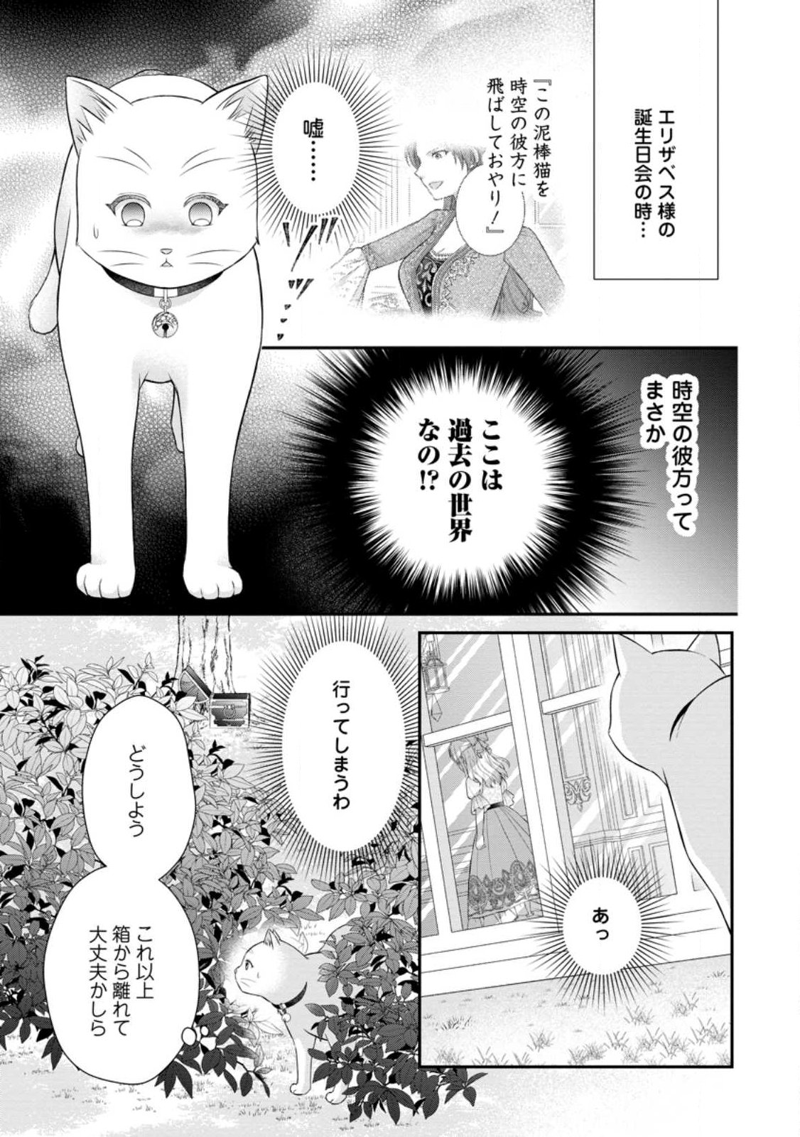 NOROI DE NEKO NI SARETA AKUNE, O TAISHI NI HIROWARERU Chap 24.1 - Pic 9