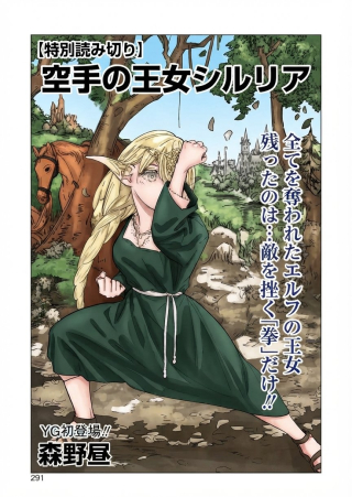 KARATE NO OUJO SILURIA