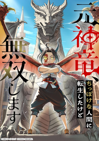 MOTO SHIN RYUU, CHIPPOKENA NINGEN NI TENSEI SHITA KEDO MUSOU SHIMASU