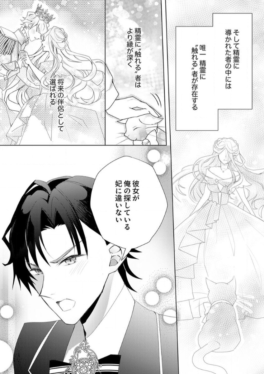 WATASHI NO KOTO WA AKIRAMETE KUDASAI!: SAKUSHI NA KOUTAISHI TO SUGAO WO KAKUSU MOB REIJOU NO DEKIAI KOUBOU Chap 2 - Pic 25